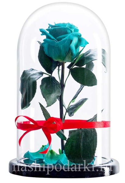 картинка Роза Premium Выс*Диам*Бутон (27*15*6-7см) Цвет тиффани подарки