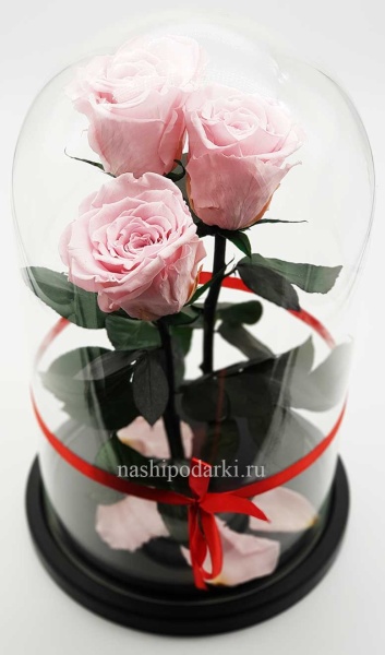 картинка Роза Трио Оптом Выс*Диам*Бутон (32*22*3х7см) Цвет нежно-розовая подарки